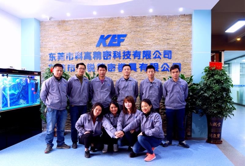 چین Dongguan Kegao Precision Technology Co., Ltd. نمایه شرکت